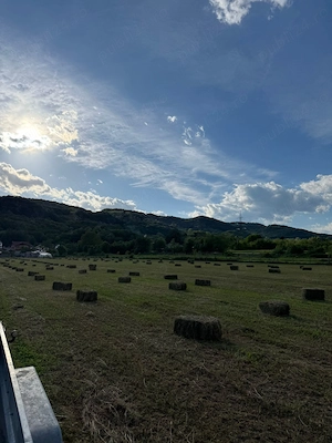 Baloti lucerna de vanzare 