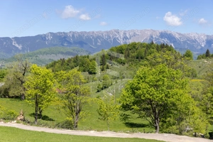 Fundata-Teren de vanzare 15,771 mp intravilan+extravilan+padure - imagine 5