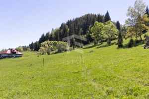 Fundata-Teren de vanzare 15,771 mp intravilan+extravilan+padure - imagine 10