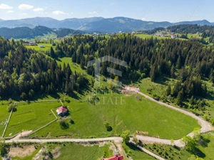 Fundata-Teren de vanzare 15,771 mp intravilan+extravilan+padure - imagine 12