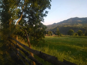 Teren intravilan 5360mp Bistrita Nasaud | Tiha Bârgăului - imagine 7