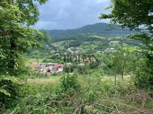 Teren intravilan 5360mp Bistrita Nasaud | Tiha Bârgăului - imagine 4
