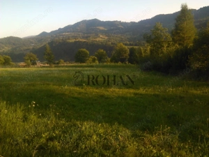 Teren intravilan 5360mp Bistrita Nasaud | Tiha Bârgăului - imagine 9