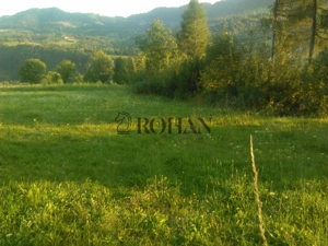Teren intravilan 5360mp Bistrita Nasaud | Tiha Bârgăului - imagine 10