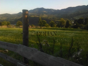 Teren intravilan 5360mp Bistrita Nasaud | Tiha Bârgăului - imagine 5