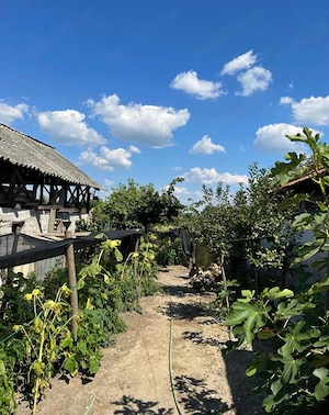 Vand casa p+1 Prundeni,Dragasani ,Valcea-La strada principala peste drum de primaria Prundeni - imagine 10