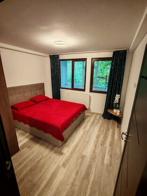 Apartament ultracentral (Ferdinand) - imagine 2