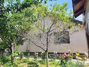 Casa Damila - imagine 4