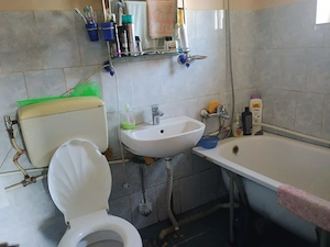 Vând casă în comuna Gurasada, sat Gothatea  - imagine 8