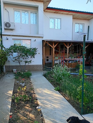 casa colentina