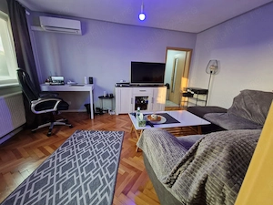 Apartament cochet zona Take Ionescu-cu centrala gaz, mobilat și utilat - imagine 3