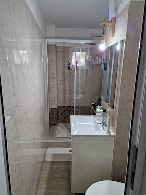 Apartament cochet zona Take Ionescu-cu centrala gaz, mobilat și utilat - imagine 9