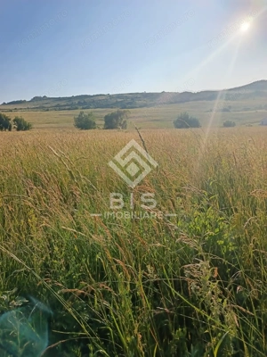 Teren 53 ari în Galații Bistriței -10.000 euro (188/ar)