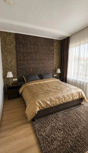 Direct proprietar - Casă individuală P+1+M, Vidra-Berceni, teren 500mp - imagine 8