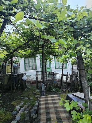 Vând casă și gradina
