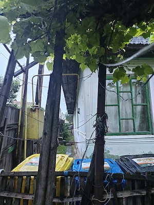 Vând casă și gradina - imagine 2