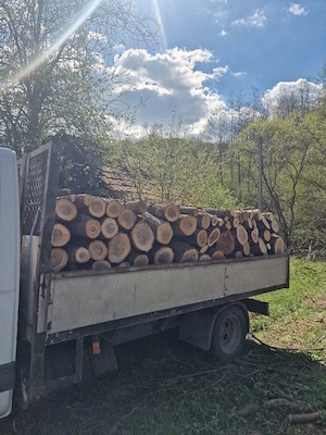 Lemn de foc esenta tare 