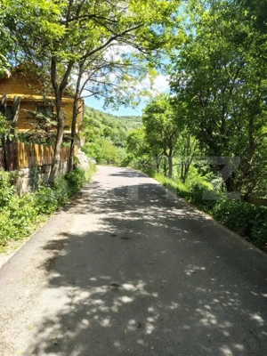 Cabană din lemn masiv, 100 mp utili, teren 3000 mp, Someșu Rece - imagine 15