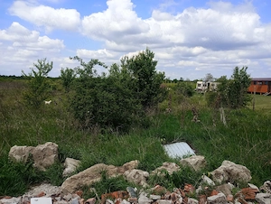 Intravilan 10 ari Strada Gorunului langa centura, Satu Mare - imagine 3