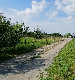 Vand parcele de teren intravilan cu PUZ pe strada Magnoliei. - imagine 2