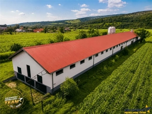 FILM! Ferma de iepuri,Malnas,Covasna: domeniu:comercial industrial,asset UE - imagine 3