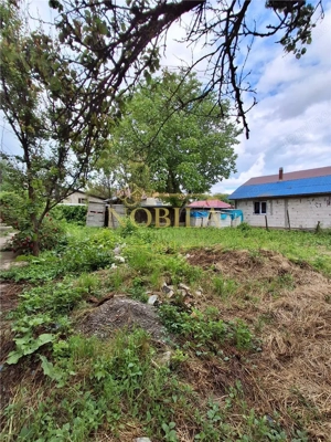 CASA SI TEREN DE VANZARE LOC CUCOVA - imagine 8