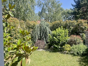 Duplex de închiriat . 