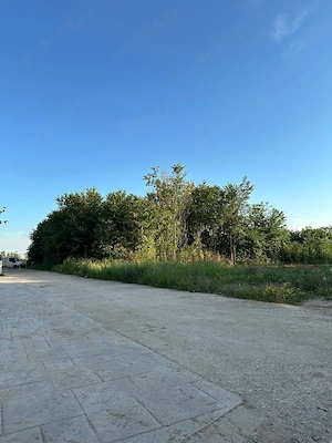 Teren de vanzare Strada Alunului Bragadiru 433 mp - imagine 2