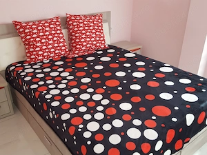 Inchiriez ap, 2 camere - imagine 4