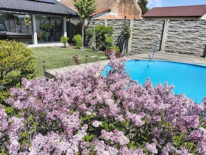 Oază de confort și eleganță în Săcălaz   Proprietate cu piscină, curte generoasă și toate facilități - imagine 8