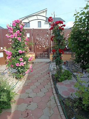 Casa cu mansarda in Cazasu - imagine 5