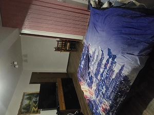 Apartament 2 camere vanzare