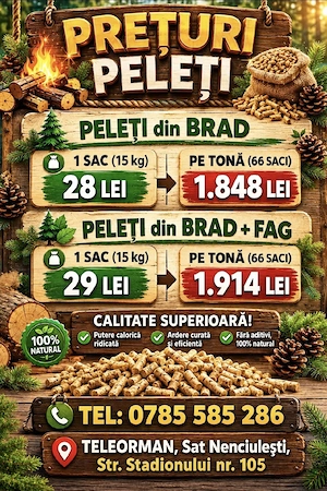 Peleți din Rumeguș