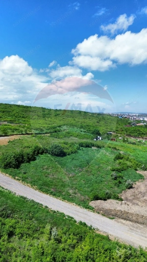 Teren intravilan de vânzare – 4.000 mp, Vișan - imagine 4
