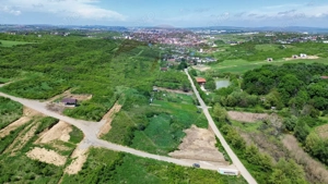 Teren intravilan de vânzare – 4.000 mp, Vișan - imagine 3