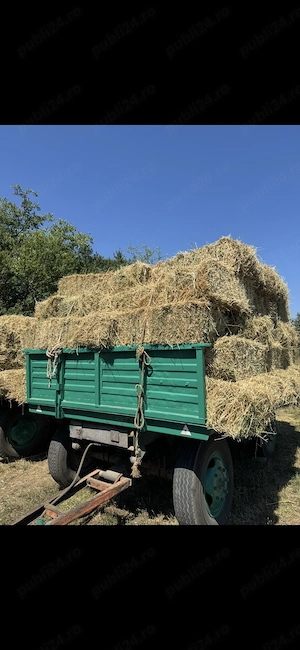 Vand baloți lucernă.