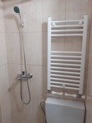 Ofer spre inchiriere apartament 2 camere  Resita - imagine 7