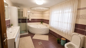 VILA IMPRESIONANTA   PROPRIETATE EXCLUSIVISTĂ- potential turistic si de afaceri! Strehaia, Mehedinti - imagine 8