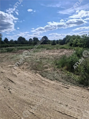 Teren intravilan de 2679 mp in Porumbacu de Sus din Sibiu - imagine 7
