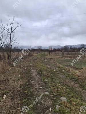 Teren intravilan de 2679 mp in Porumbacu de Sus din Sibiu - imagine 3