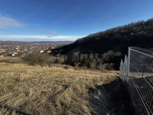 Oportunitate investiție 1153mp Tarnița - Micești - imagine 4