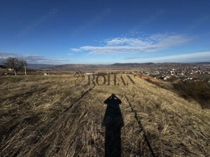 Oportunitate investiție 1153mp Tarnița - Micești - imagine 3