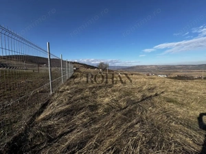 Oportunitate investiție 1153mp Tarnița - Micești - imagine 5