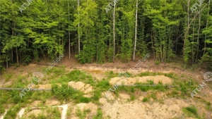 Teren intravilan 3000 mp in Porumbacu de Sus din Sibiu - imagine 10