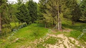 Teren intravilan 3000 mp in Porumbacu de Sus din Sibiu - imagine 2