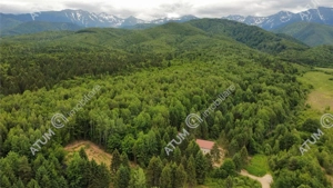 Teren intravilan 3000 mp in Porumbacu de Sus din Sibiu - imagine 8