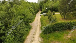 Teren intravilan 3000 mp in Porumbacu de Sus din Sibiu - imagine 7
