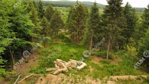 Teren intravilan 3000 mp in Porumbacu de Sus din Sibiu - imagine 12