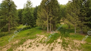 Teren intravilan 3000 mp in Porumbacu de Sus din Sibiu - imagine 6