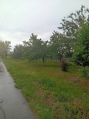 Casă ungaria Magyardombegyhaza